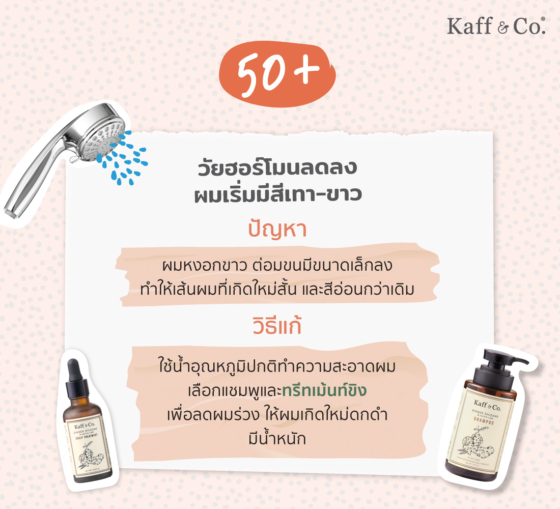 50+ วัยฮอร์โมนลดลง ผมเริ่มมีสีเทา-ขาว