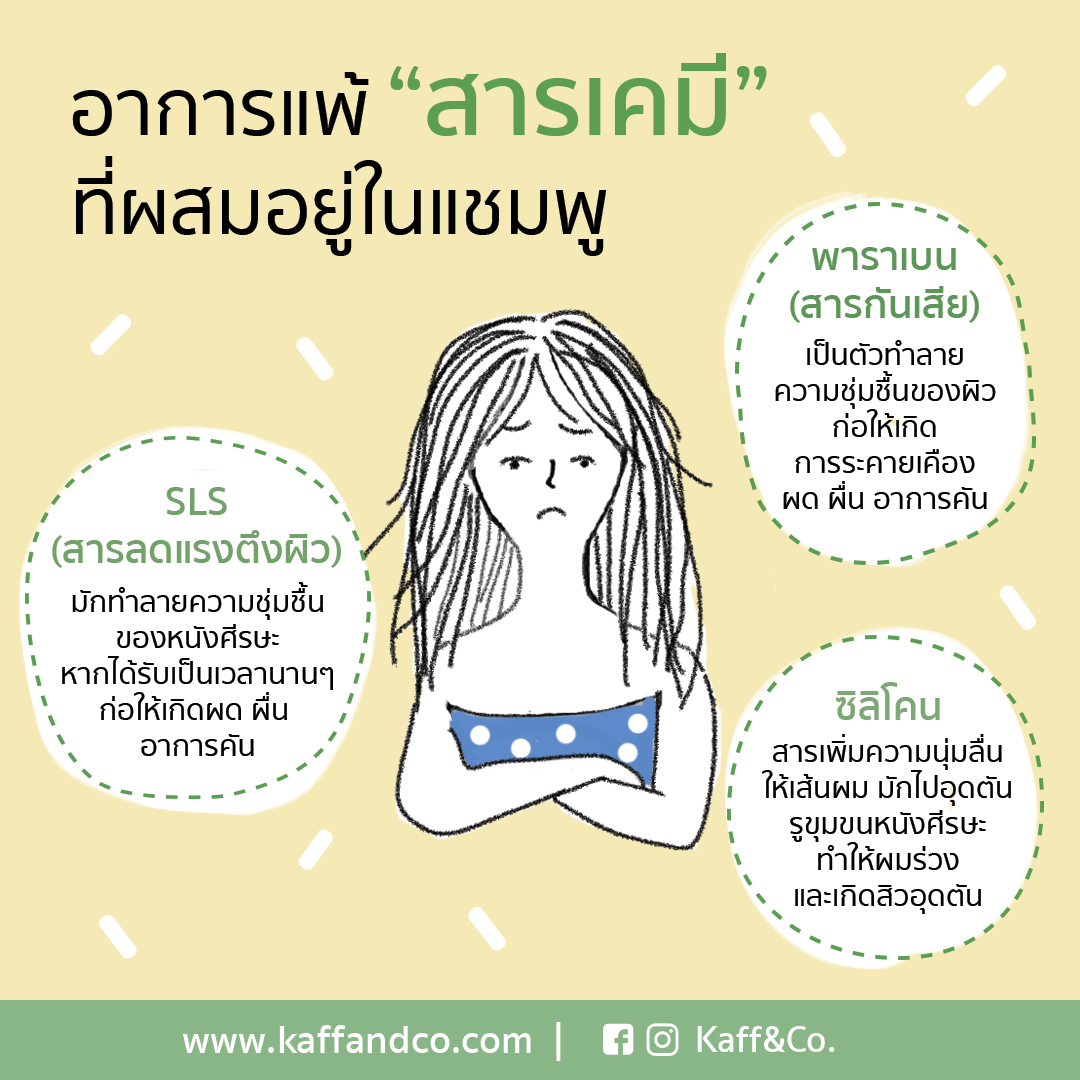 อาการแพ้แชมพู สัญญาณเตือนที่คุณต้องรู้ : Kaff & Co. อาการแพ้แชมพู สัญญาณเตือนที่คุณต้องรู้ : Kaff & Co.