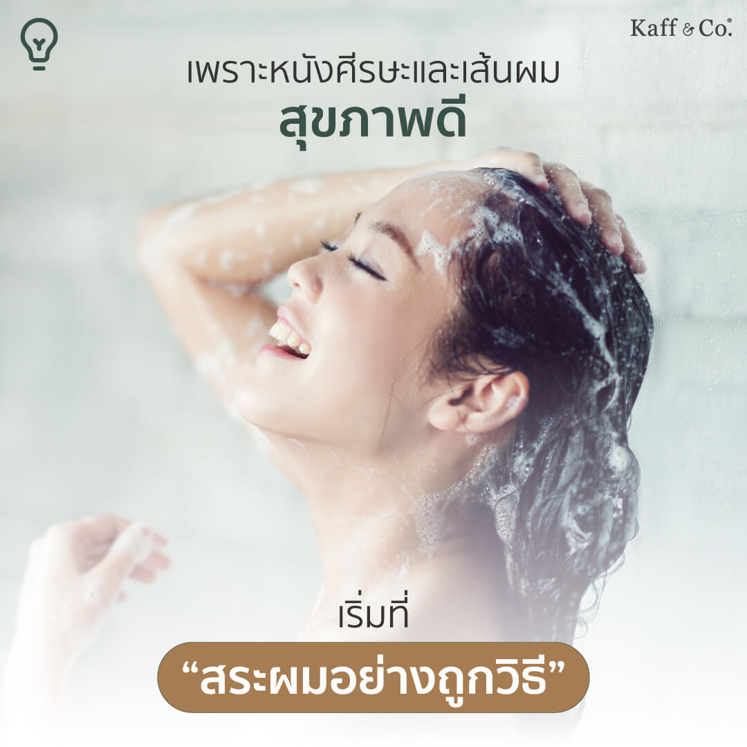หนังศีรษะและเส้นผมสุขภาพดี เริ่มต้นที่ “การสระผมอย่างถูกวิธี”