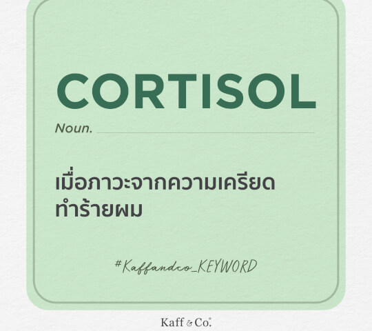 Kaff & Co. KEYWORD: CORTISOL ฮอร์โมนความเครียด