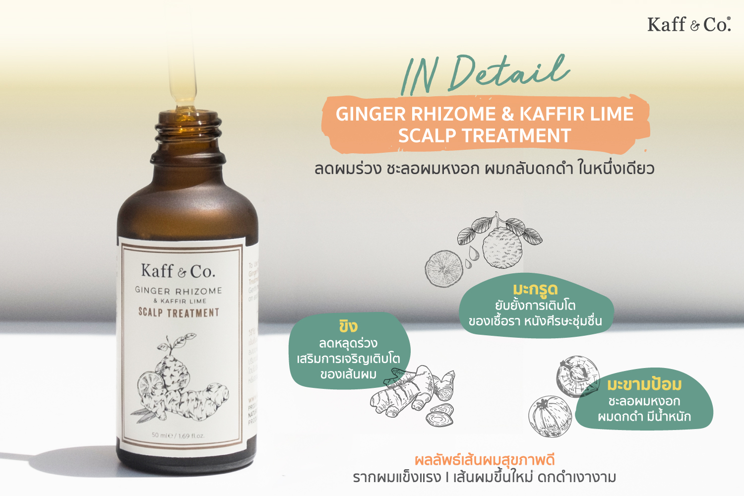 In detail Ginger Rhizome & Kaffir Lime Scalp Treatment