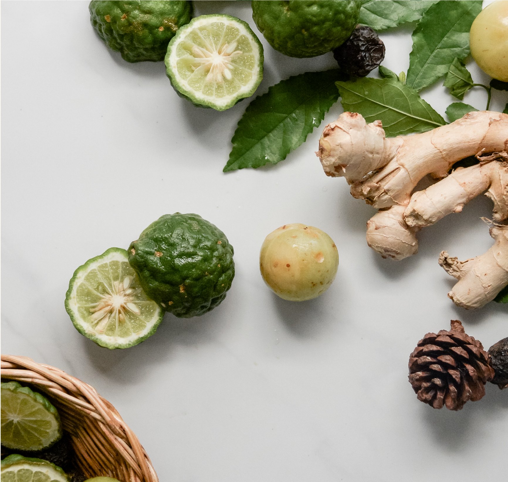 Thai herbs ingredients kaffir lime and ginger