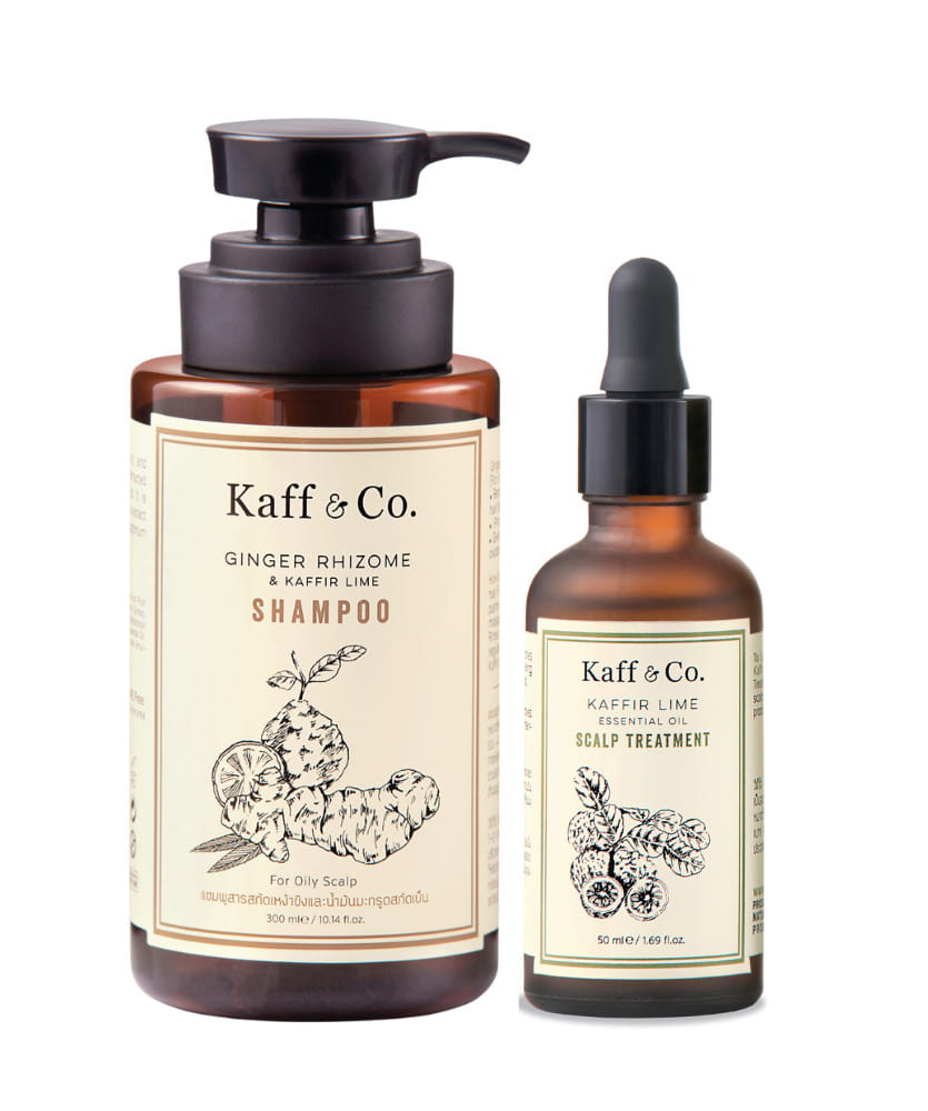 oily-scalp-and-dandruff