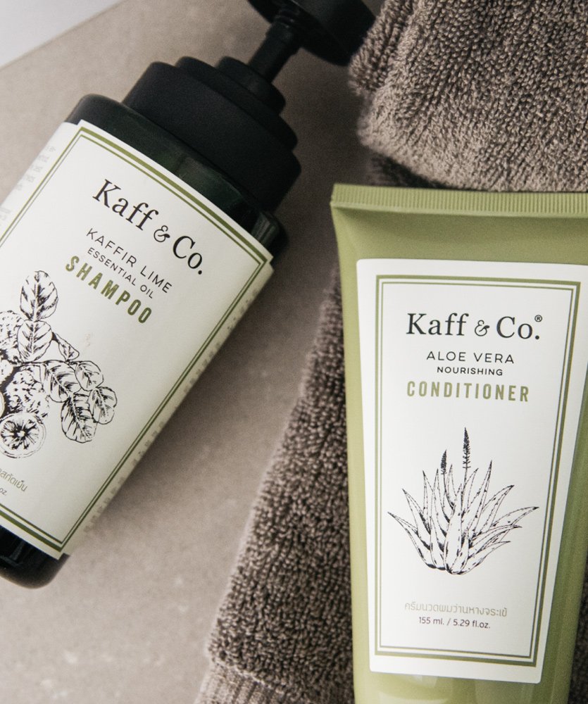 normal-scalp-and-dandruf