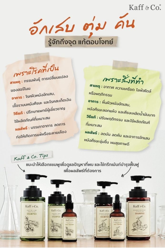 ทรีทเม้นท์น้ำมันมะกรูดสกัดเย็น (ไม่ต้องล้างออก)  50 ML