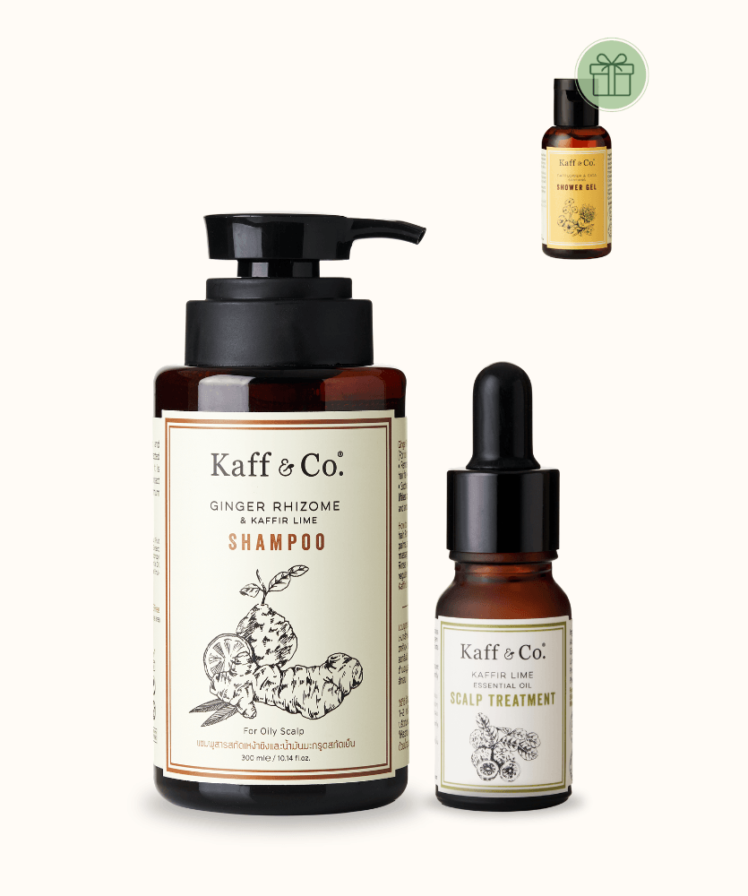 Scalp Care Starter Set 3 – Oil Control & Scalp Relief หนังศีรษะมัน ผมร่วง คัน รังแค และมีการอักเสบ