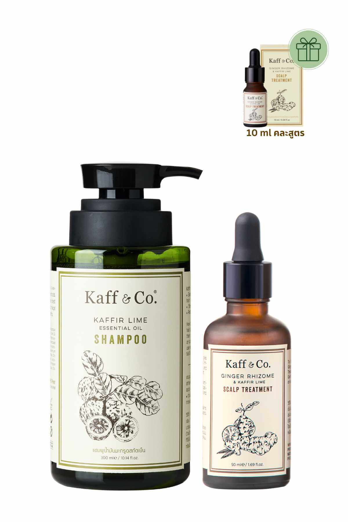 Healthy Hair SET 2 หนังศีรษะแห้ง/ผสม ผมร่วง และผมหงอก   