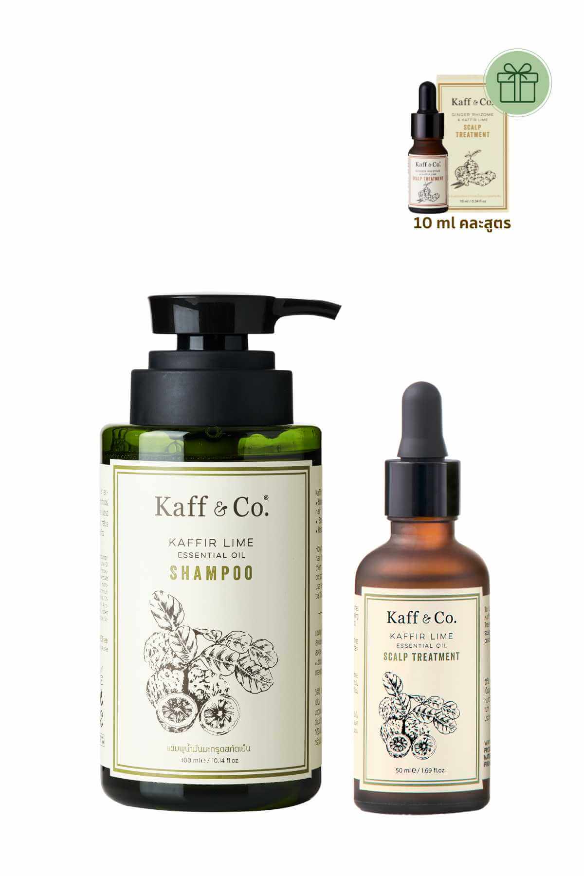 Healthy Hair SET 1 หนังศีรษะแห้ง ลอก คัน มีรังแค