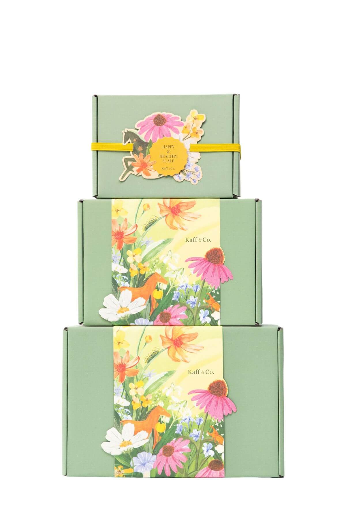 Holiday Set #2 Holiday Hair & Skin Care (Ginger) 