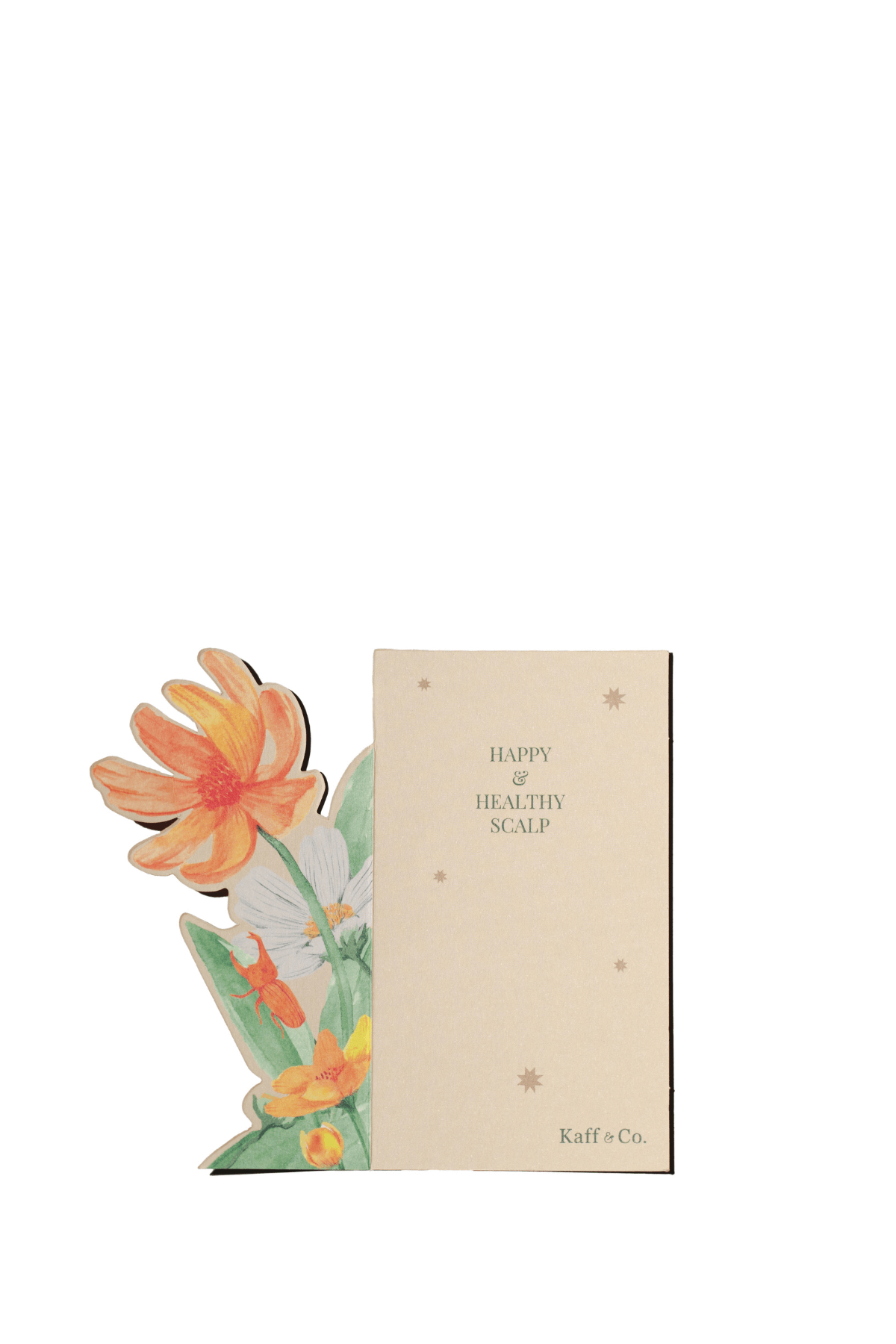 Holiday Set #1 Holiday Hair & Skin Care (Kaffir Lime)