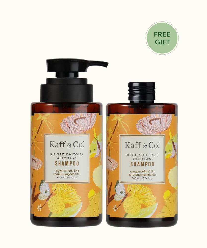 Saver Set - แชมพูสารสกัดเหง้าขิงและน้ำมันมะกรูดสกัดเย็น 300 ML และ ชนิดเติม 300 ML