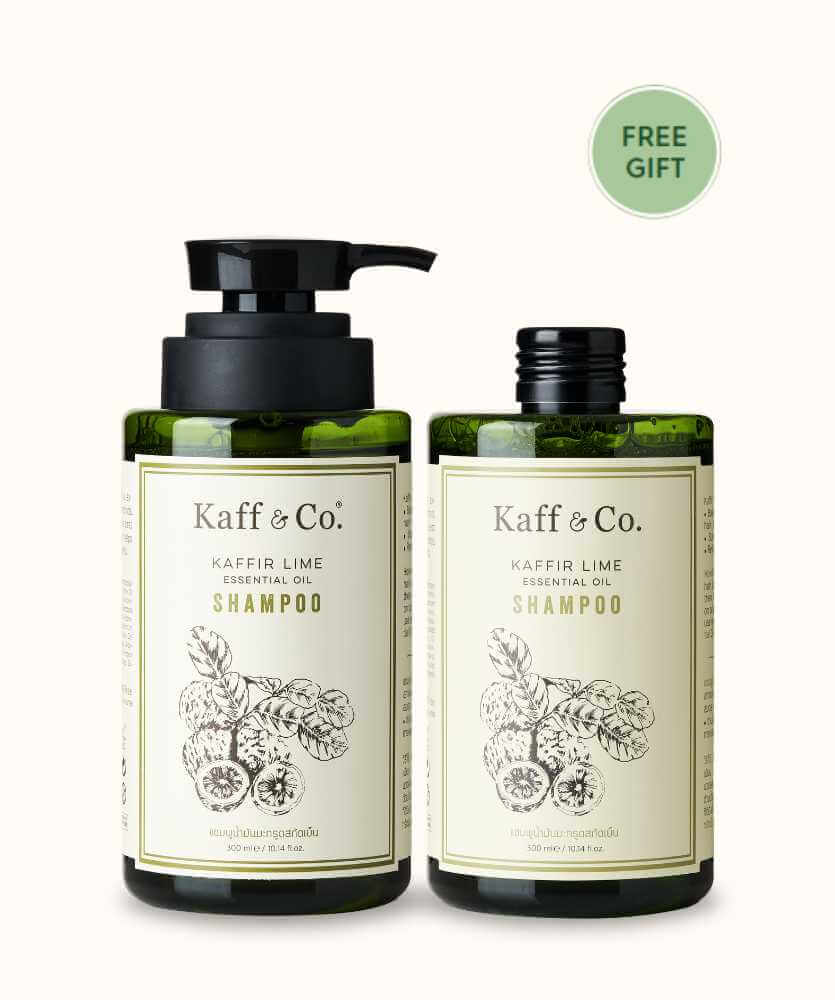 Saver Set - แชมพูน้ำมันมะกรูดสกัดเย็น 300 ML และ ชนิดเติม 300 ML