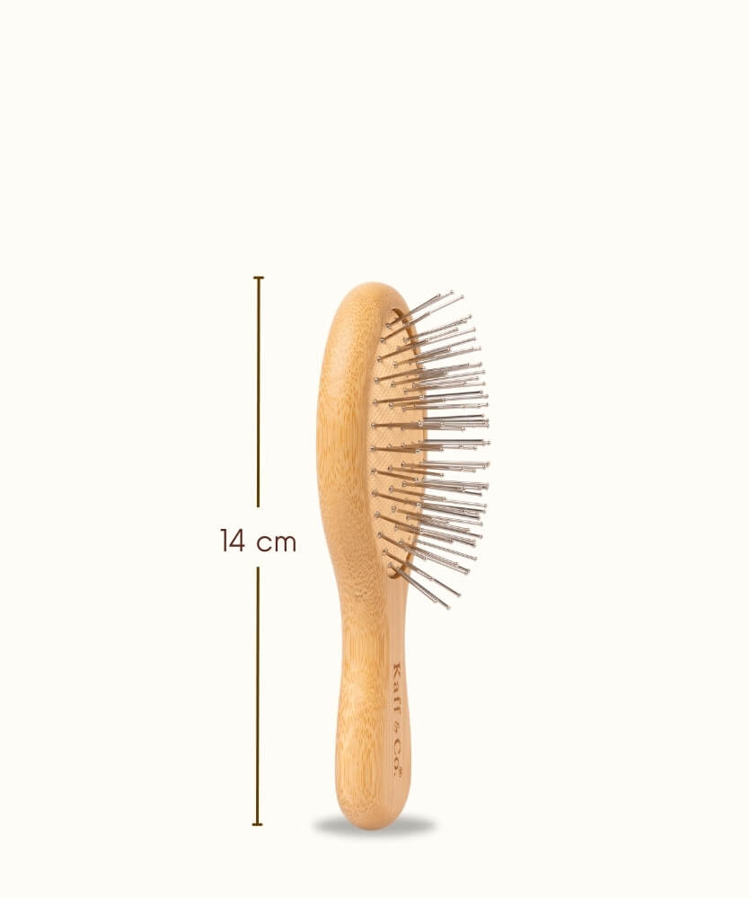 Pocket Hair Brush