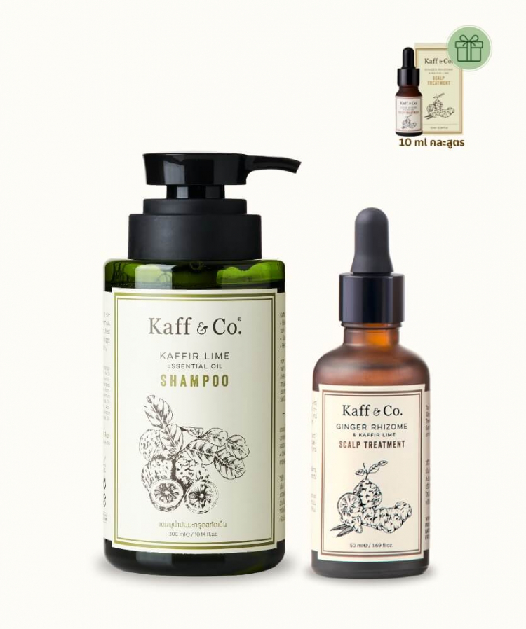 Healthy SCALP SET 2 หนังศีรษะแห้ง/ผสม ผมร่วง และผมหงอก   