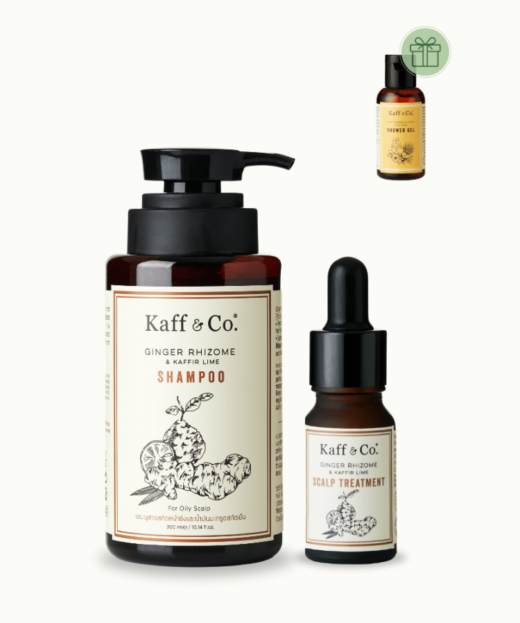 Scalp Care Starter Set 4 - Oil Control & Hair Fall Control หนังศีรษะมัน ผมลีบ ผมร่วง เริ่มมีผมหงอก / ผมอ่อนแอ