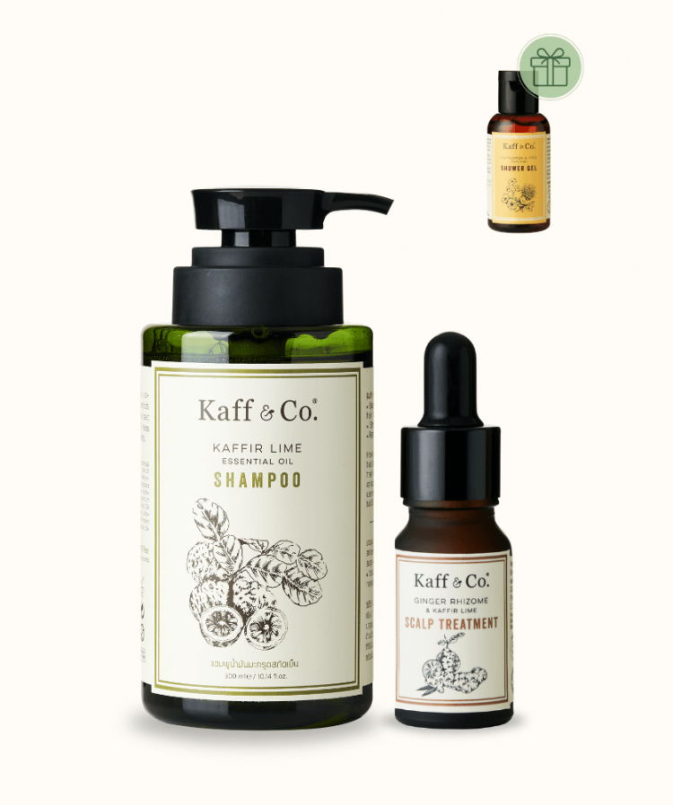 Scalp Care Starter Set 2 - Daily Balance หนังศีรษะปกติ รากผมเริ่มอ่อนแอ หลุดร่วงง่าย 