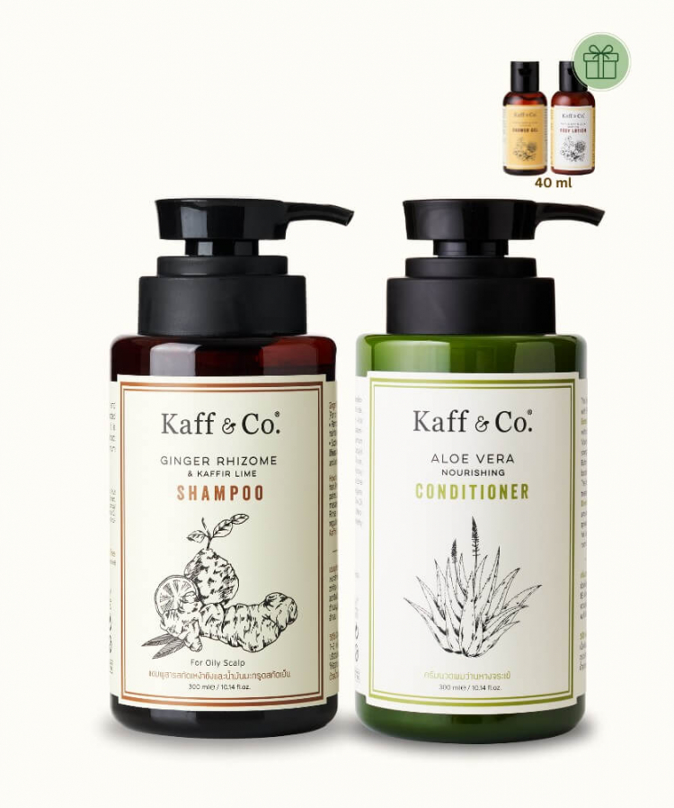 DAILY HAIR BALANCE -  ขิง