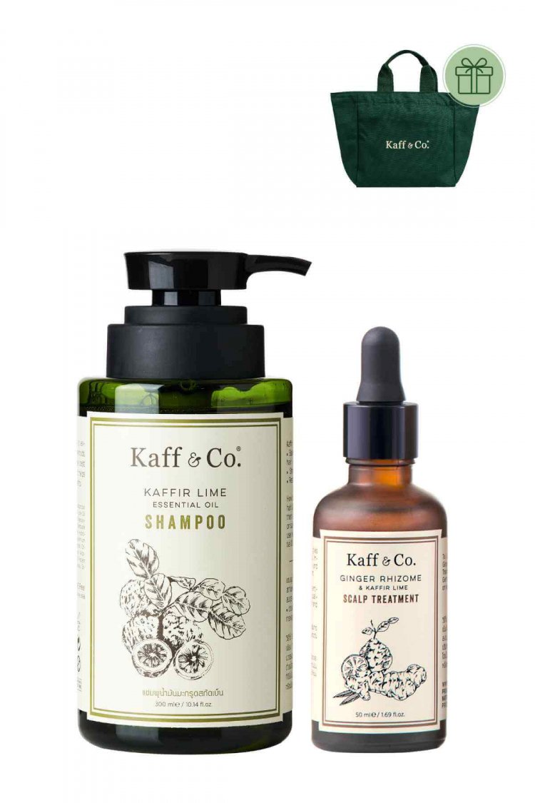 Healthy Hair SET 2 หนังศีรษะแห้ง/ผสม ผมร่วง และผมหงอก   