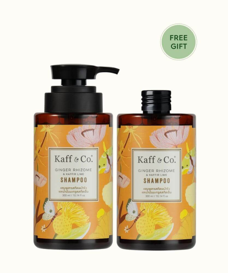 Saver Set - แชมพูสารสกัดเหง้าขิงและน้ำมันมะกรูดสกัดเย็น 300 ML และ ชนิดเติม 300 ML