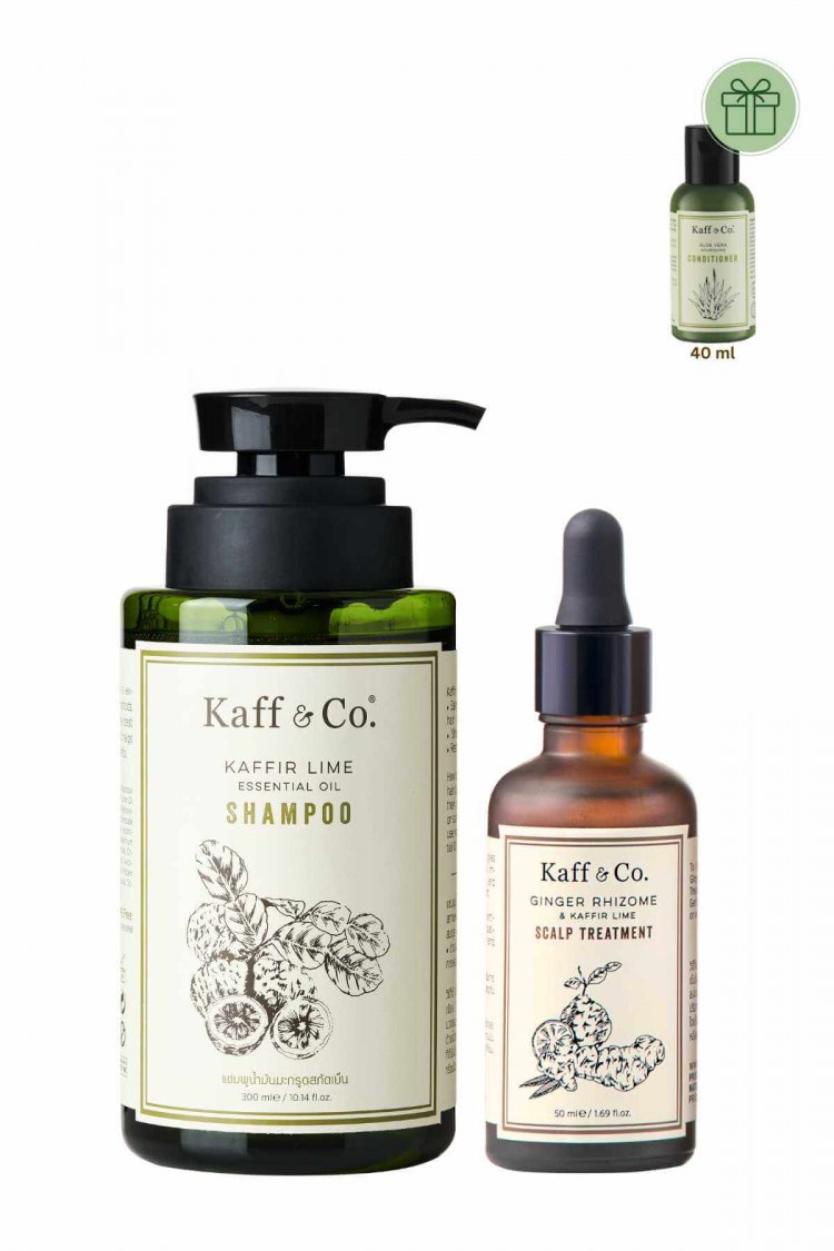 Healthy Hair SET 2 หนังศีรษะแห้ง/ผสม ผมร่วง และผมหงอก   