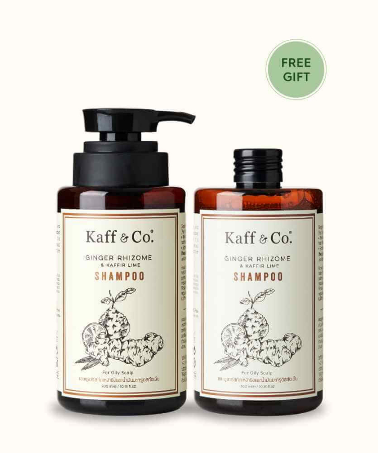 Saver Set - แชมพูสารสกัดเหง้าขิงและน้ำมันมะกรูดสกัดเย็น 300 ML และ ชนิดเติม 300 ML